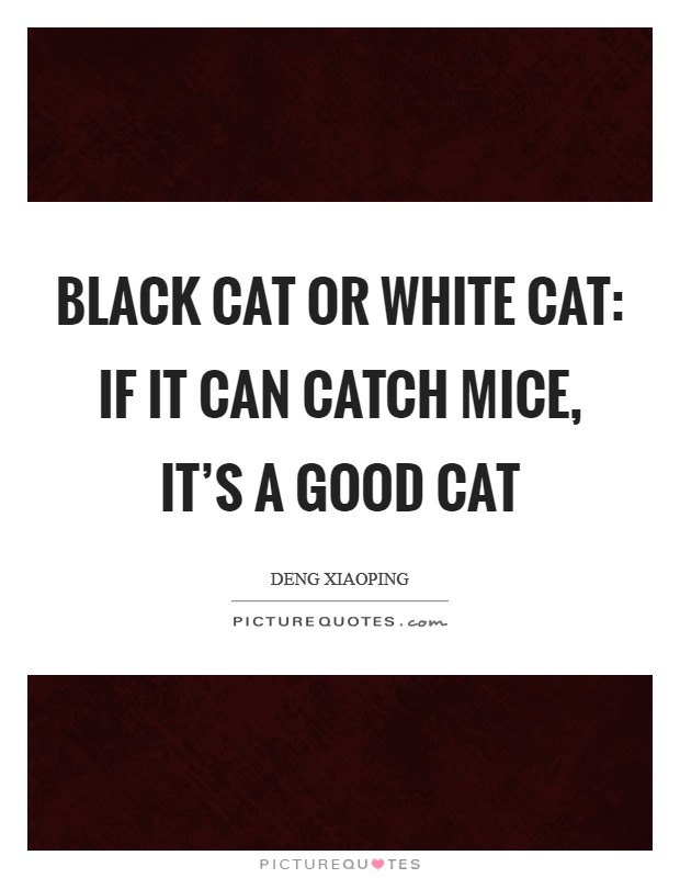 Black cat or white cat: If it can catch mice, it's a good cat Picture Quote #1