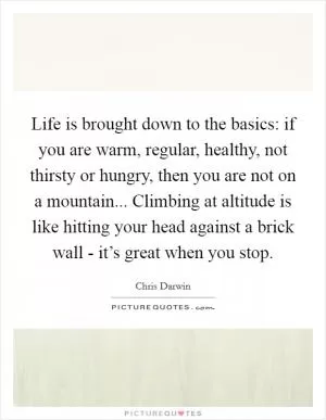 Life is brought down to the basics: if you are warm, regular, healthy, not thirsty or hungry, then you are not on a mountain... Climbing at altitude is like hitting your head against a brick wall - it’s great when you stop Picture Quote #1