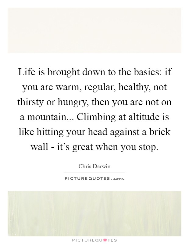 Life is brought down to the basics: if you are warm, regular, healthy, not thirsty or hungry, then you are not on a mountain... Climbing at altitude is like hitting your head against a brick wall - it's great when you stop Picture Quote #1