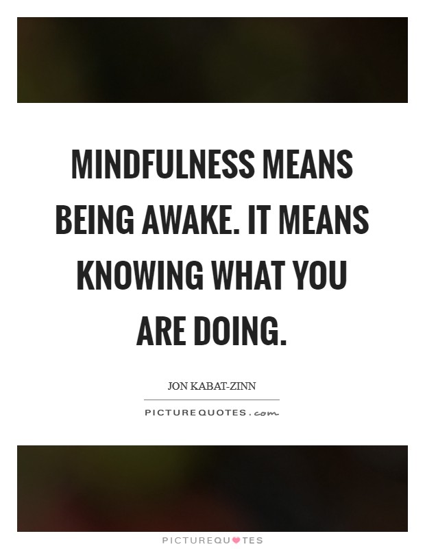 Mindfulness means being awake. It means knowing what you are doing Picture Quote #1