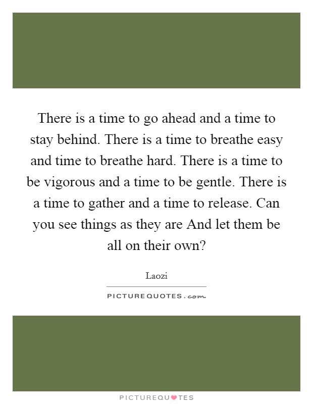 There is a time to go ahead and a time to stay behind. There is a time to breathe easy and time to breathe hard. There is a time to be vigorous and a time to be gentle. There is a time to gather and a time to release. Can you see things as they are And let them be all on their own? Picture Quote #1