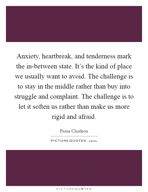 Anxiety, heartbreak, and tenderness mark the in-between state. It's the kind of place we usually want to avoid. The challenge is to stay in the middle rather than buy into struggle and complaint. The challenge is to let it soften us rather than make us more rigid and afraid Picture Quote #1