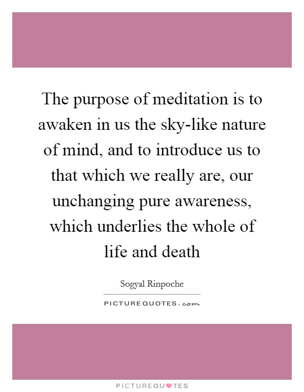 The purpose of meditation is to awaken in us the sky-like nature of mind, and to introduce us to that which we really are, our unchanging pure awareness, which underlies the whole of life and death Picture Quote #1