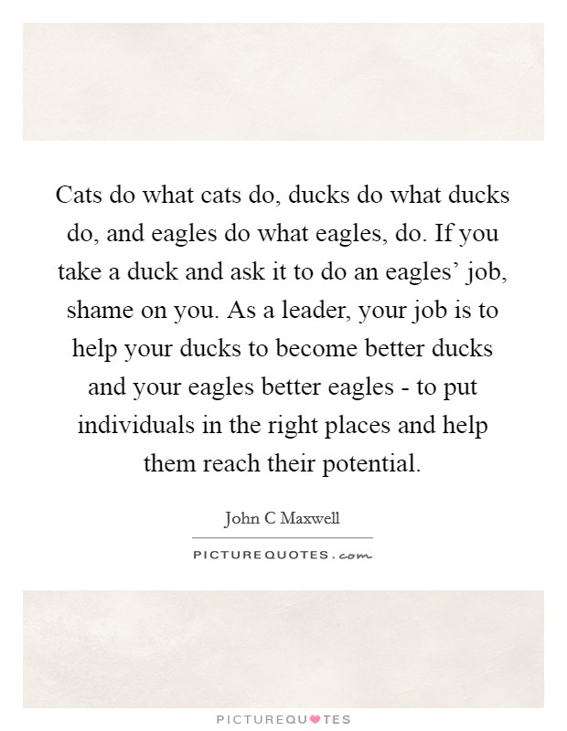 Cats do what cats do, ducks do what ducks do, and eagles do what eagles, do. If you take a duck and ask it to do an eagles' job, shame on you. As a leader, your job is to help your ducks to become better ducks and your eagles better eagles - to put individuals in the right places and help them reach their potential Picture Quote #1