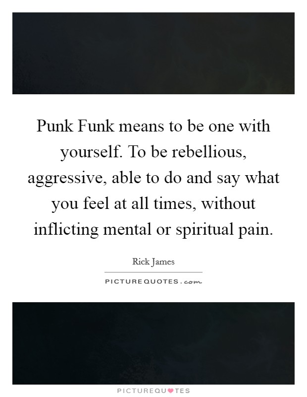 Punk Funk means to be one with yourself. To be rebellious, aggressive, able to do and say what you feel at all times, without inflicting mental or spiritual pain Picture Quote #1