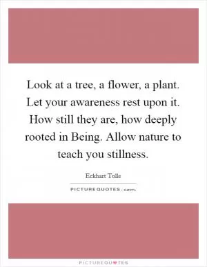 Look at a tree, a flower, a plant. Let your awareness rest upon it. How still they are, how deeply rooted in Being. Allow nature to teach you stillness Picture Quote #1