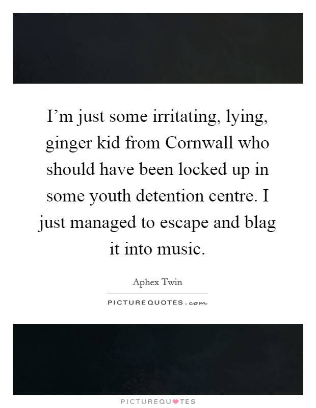 I'm just some irritating, lying, ginger kid from Cornwall who should have been locked up in some youth detention centre. I just managed to escape and blag it into music Picture Quote #1