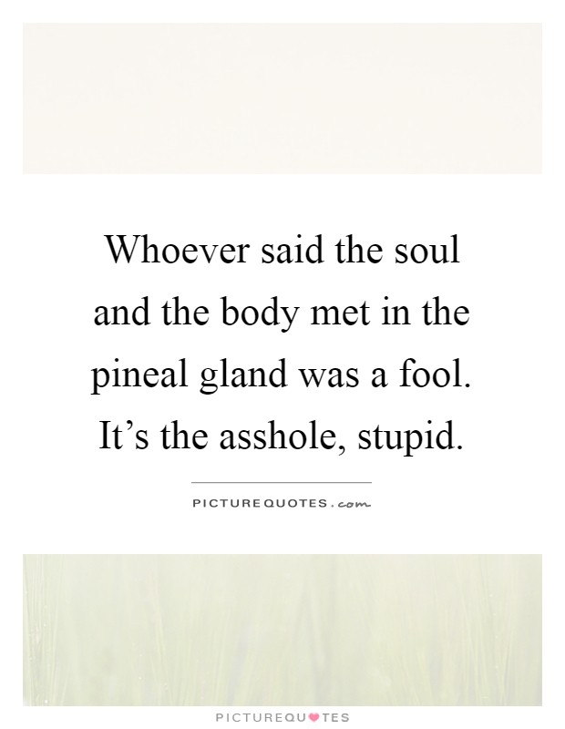 Whoever said the soul and the body met in the pineal gland was a fool. It's the asshole, stupid Picture Quote #1