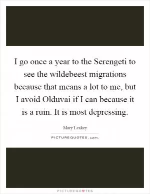I go once a year to the Serengeti to see the wildebeest migrations because that means a lot to me, but I avoid Olduvai if I can because it is a ruin. It is most depressing Picture Quote #1