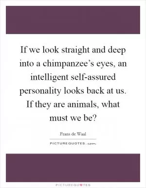 If we look straight and deep into a chimpanzee’s eyes, an intelligent self-assured personality looks back at us. If they are animals, what must we be? Picture Quote #1