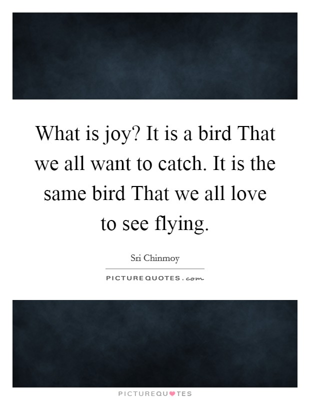 What is joy? It is a bird That we all want to catch. It is the same bird That we all love to see flying Picture Quote #1