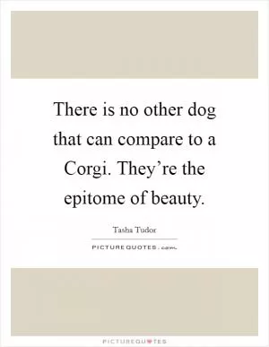 There is no other dog that can compare to a Corgi. They’re the epitome of beauty Picture Quote #1