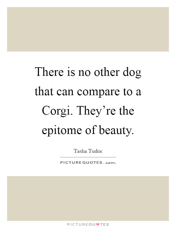 There is no other dog that can compare to a Corgi. They're the epitome of beauty Picture Quote #1