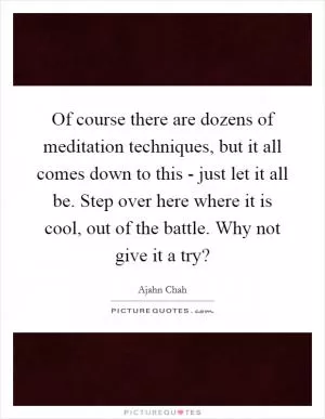 Of course there are dozens of meditation techniques, but it all comes down to this - just let it all be. Step over here where it is cool, out of the battle. Why not give it a try? Picture Quote #1