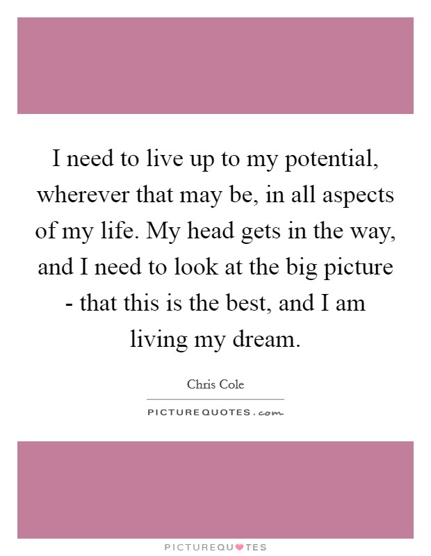 I need to live up to my potential, wherever that may be, in all aspects of my life. My head gets in the way, and I need to look at the big picture - that this is the best, and I am living my dream Picture Quote #1
