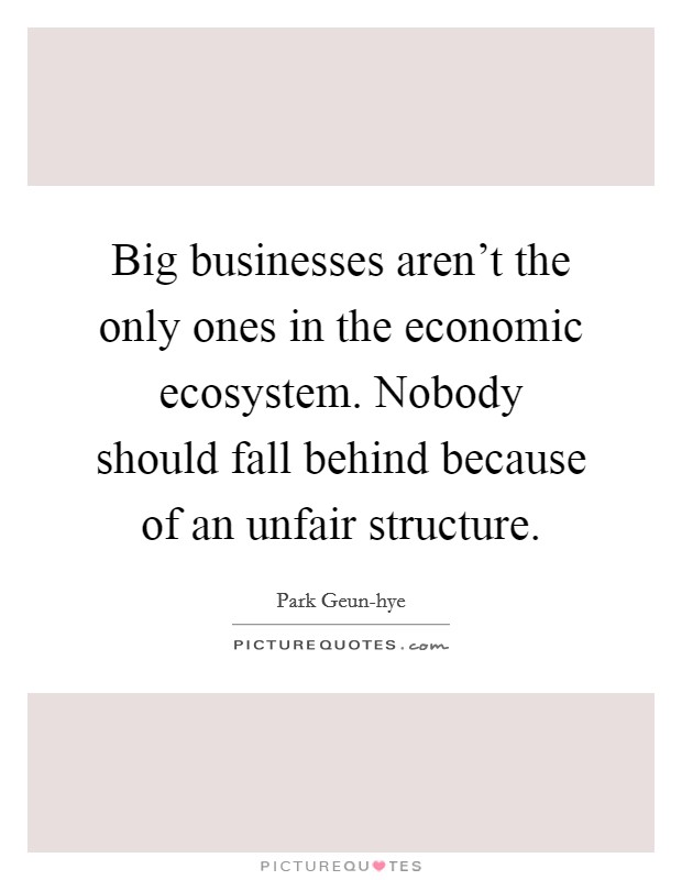 Big businesses aren't the only ones in the economic ecosystem. Nobody should fall behind because of an unfair structure Picture Quote #1