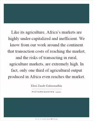 Like its agriculture, Africa’s markets are highly under-capitalized and inefficient. We know from our work around the continent that transaction costs of reaching the market, and the risks of transacting in rural, agriculture markets, are extremely high. In fact, only one third of agricultural output produced in Africa even reaches the market Picture Quote #1