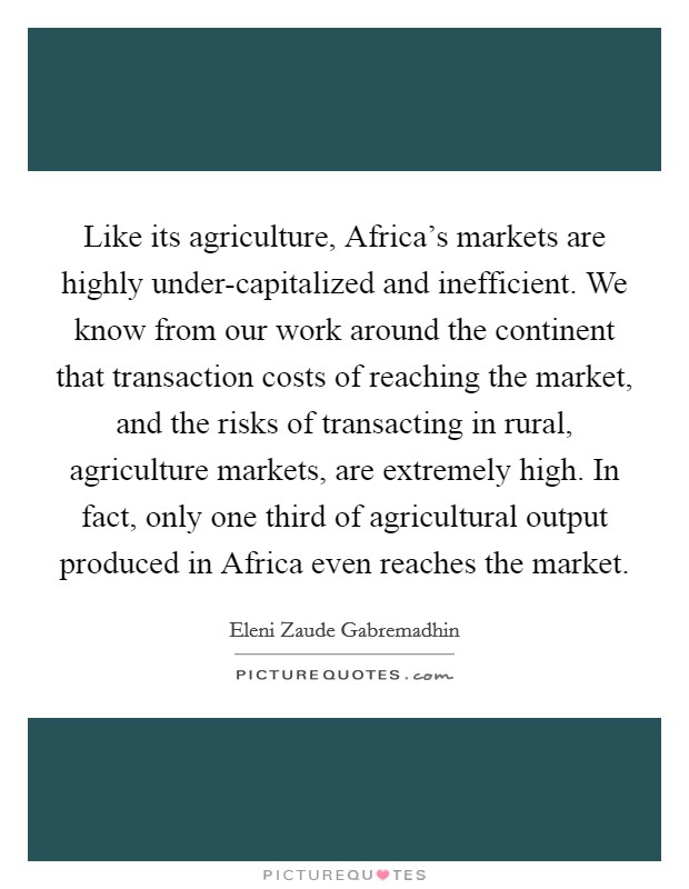 Like its agriculture, Africa's markets are highly under-capitalized and inefficient. We know from our work around the continent that transaction costs of reaching the market, and the risks of transacting in rural, agriculture markets, are extremely high. In fact, only one third of agricultural output produced in Africa even reaches the market Picture Quote #1