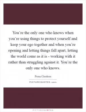 You’re the only one who knows when you’re using things to protect yourself and keep your ego together and when you’re opening and letting things fall apart, letting the world come as it is - working with it rather than struggling against it. You’re the only one who knows Picture Quote #1