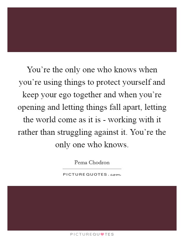 You're the only one who knows when you're using things to protect yourself and keep your ego together and when you're opening and letting things fall apart, letting the world come as it is - working with it rather than struggling against it. You're the only one who knows Picture Quote #1