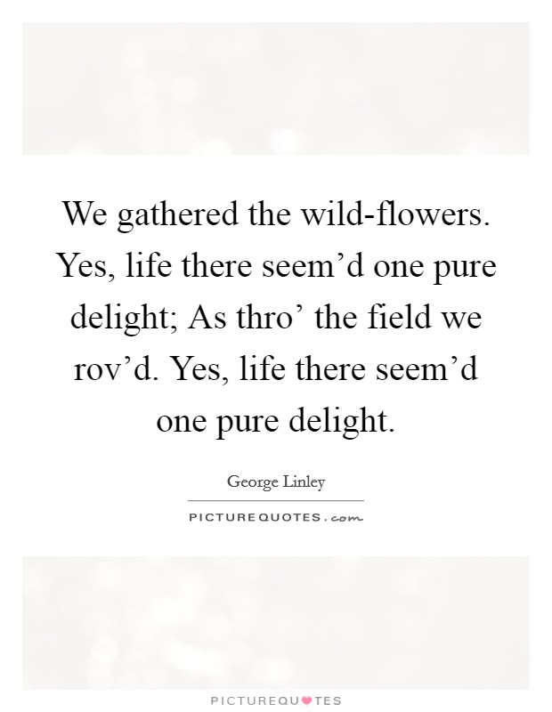 We gathered the wild-flowers. Yes, life there seem'd one pure delight; As thro' the field we rov'd. Yes, life there seem'd one pure delight Picture Quote #1