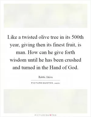Like a twisted olive tree in its 500th year, giving then its finest fruit, is man. How can he give forth wisdom until he has been crushed and turned in the Hand of God Picture Quote #1