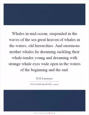 Whales in mid-ocean, suspended in the waves of the sea great heaven of whales in the waters, old hierarchies. And enormous mother whales lie dreaming suckling their whale-tender young and dreaming with strange whale eyes wide open in the waters of the beginning and the end Picture Quote #1