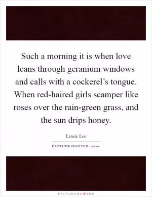 Such a morning it is when love leans through geranium windows and calls with a cockerel’s tongue. When red-haired girls scamper like roses over the rain-green grass, and the sun drips honey Picture Quote #1
