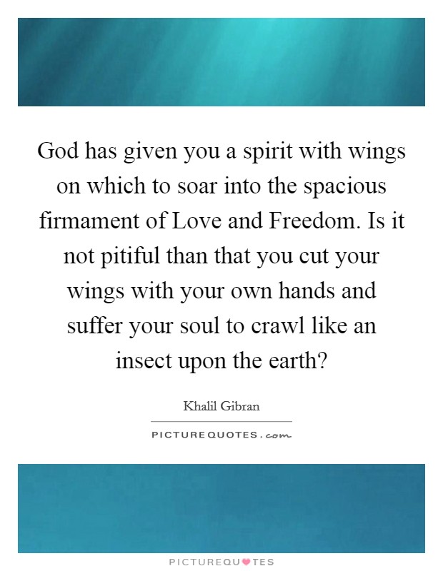 God has given you a spirit with wings on which to soar into the spacious firmament of Love and Freedom. Is it not pitiful than that you cut your wings with your own hands and suffer your soul to crawl like an insect upon the earth? Picture Quote #1