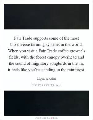 Fair Trade supports some of the most bio-diverse farming systems in the world. When you visit a Fair Trade coffee grower’s fields, with the forest canopy overhead and the sound of migratory songbirds in the air, it feels like you’re standing in the rainforest Picture Quote #1