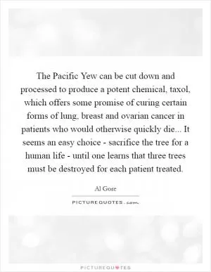 The Pacific Yew can be cut down and processed to produce a potent chemical, taxol, which offers some promise of curing certain forms of lung, breast and ovarian cancer in patients who would otherwise quickly die... It seems an easy choice - sacrifice the tree for a human life - until one learns that three trees must be destroyed for each patient treated Picture Quote #1