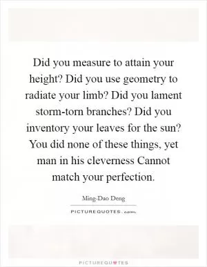 Did you measure to attain your height? Did you use geometry to radiate your limb? Did you lament storm-torn branches? Did you inventory your leaves for the sun? You did none of these things, yet man in his cleverness Cannot match your perfection Picture Quote #1