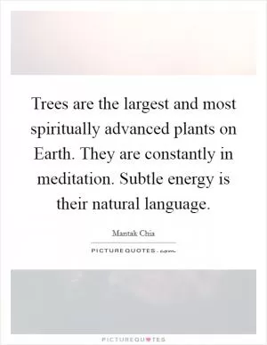 Trees are the largest and most spiritually advanced plants on Earth. They are constantly in meditation. Subtle energy is their natural language Picture Quote #1