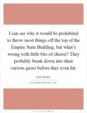 I can see why it would be prohibited to throw most things off the top of the Empire State Building, but what’s wrong with little bits of cheese? They probably break down into their various gases before they even hit Picture Quote #1