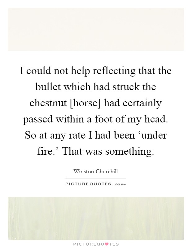 I could not help reflecting that the bullet which had struck the chestnut [horse] had certainly passed within a foot of my head. So at any rate I had been ‘under fire.' That was something Picture Quote #1