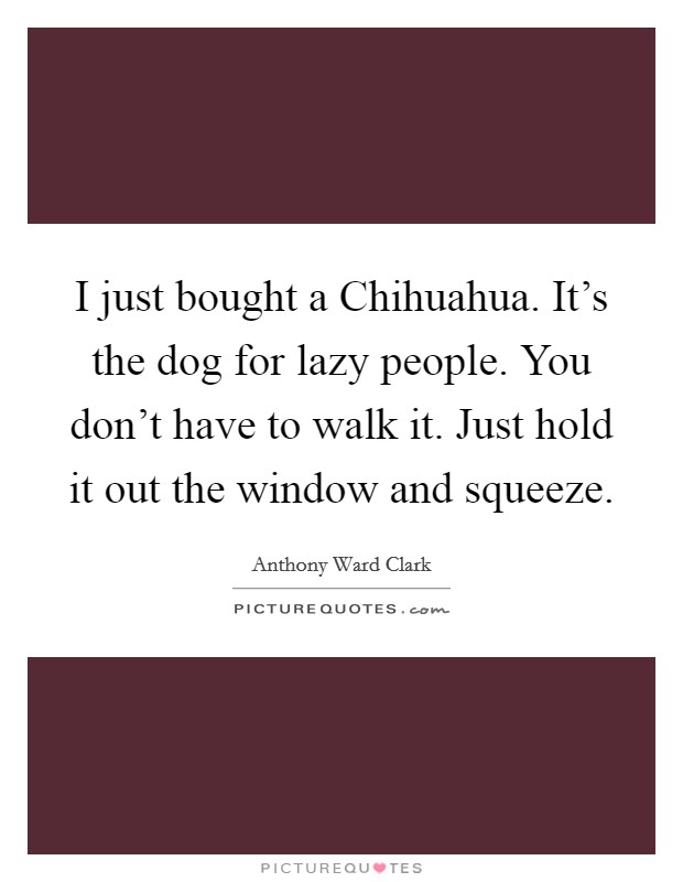 I just bought a Chihuahua. It's the dog for lazy people. You don't have to walk it. Just hold it out the window and squeeze Picture Quote #1