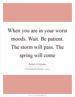 When you are in your worst moods. Wait. Be patient. The storm will pass. The spring will come Picture Quote #1