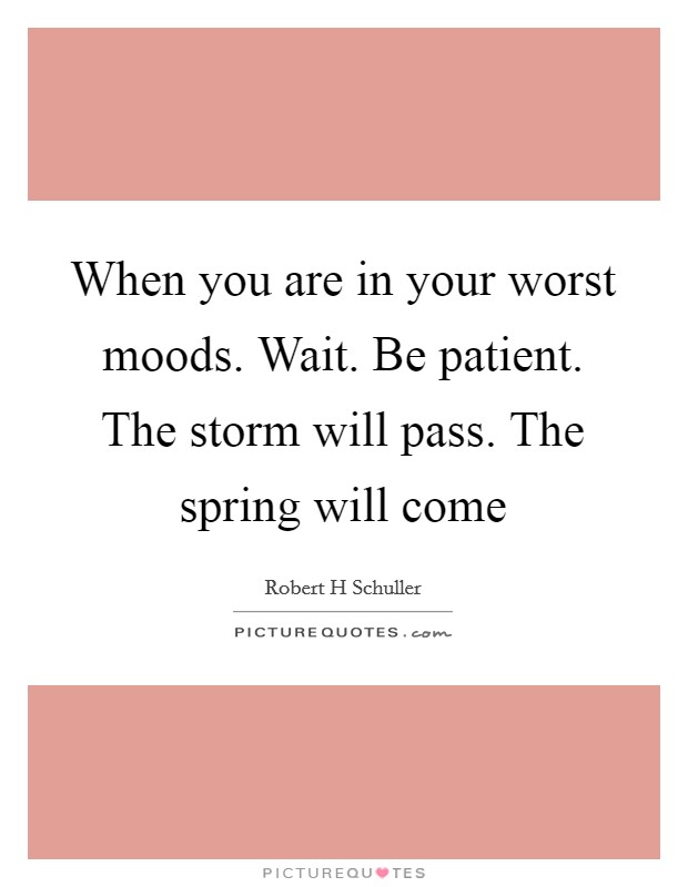 When you are in your worst moods. Wait. Be patient. The storm will pass. The spring will come Picture Quote #1