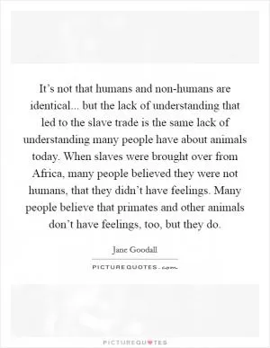 It’s not that humans and non-humans are identical... but the lack of understanding that led to the slave trade is the same lack of understanding many people have about animals today. When slaves were brought over from Africa, many people believed they were not humans, that they didn’t have feelings. Many people believe that primates and other animals don’t have feelings, too, but they do Picture Quote #1