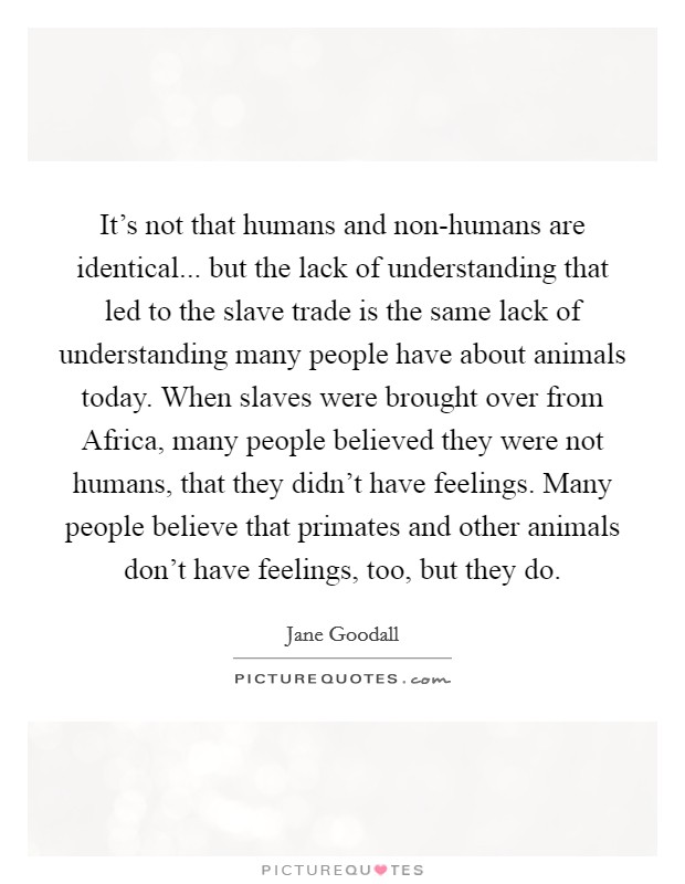 It's not that humans and non-humans are identical... but the lack of understanding that led to the slave trade is the same lack of understanding many people have about animals today. When slaves were brought over from Africa, many people believed they were not humans, that they didn't have feelings. Many people believe that primates and other animals don't have feelings, too, but they do Picture Quote #1
