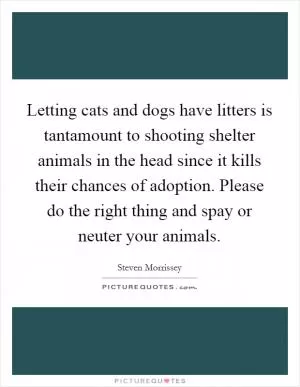 Letting cats and dogs have litters is tantamount to shooting shelter animals in the head since it kills their chances of adoption. Please do the right thing and spay or neuter your animals Picture Quote #1