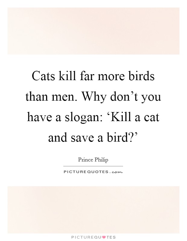 Cats kill far more birds than men. Why don't you have a slogan: ‘Kill a cat and save a bird?' Picture Quote #1