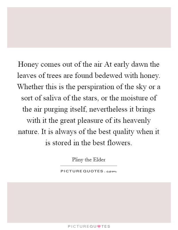 Honey comes out of the air At early dawn the leaves of trees are found bedewed with honey. Whether this is the perspiration of the sky or a sort of saliva of the stars, or the moisture of the air purging itself, nevertheless it brings with it the great pleasure of its heavenly nature. It is always of the best quality when it is stored in the best flowers Picture Quote #1