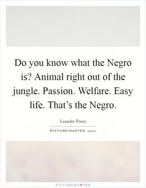 Do you know what the Negro is? Animal right out of the jungle. Passion. Welfare. Easy life. That’s the Negro Picture Quote #1