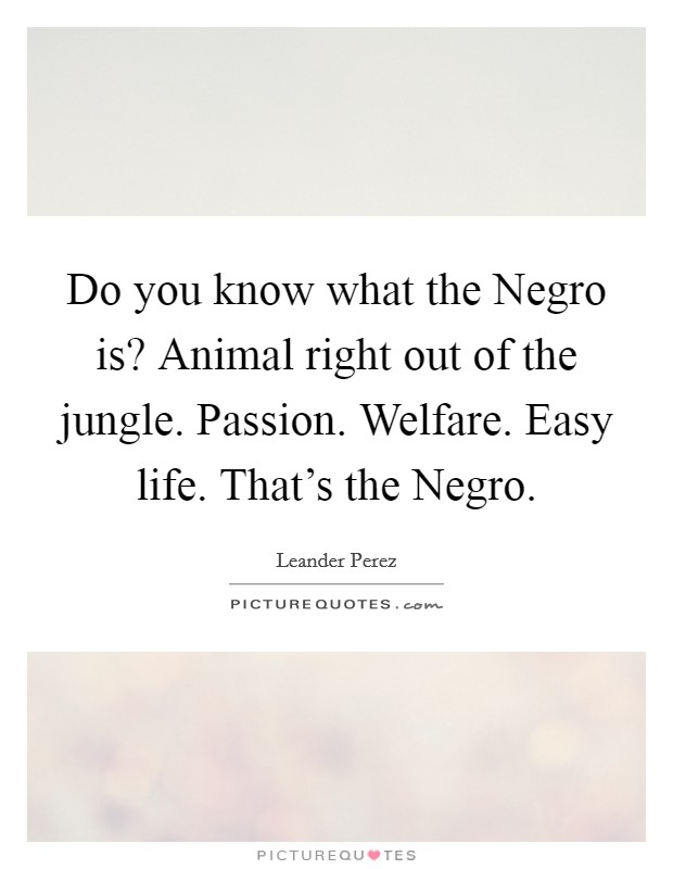 Do you know what the Negro is? Animal right out of the jungle. Passion. Welfare. Easy life. That's the Negro Picture Quote #1