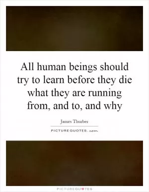 All human beings should try to learn before they die what they are running from, and to, and why Picture Quote #1