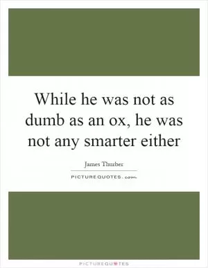 While he was not as dumb as an ox, he was not any smarter either Picture Quote #1