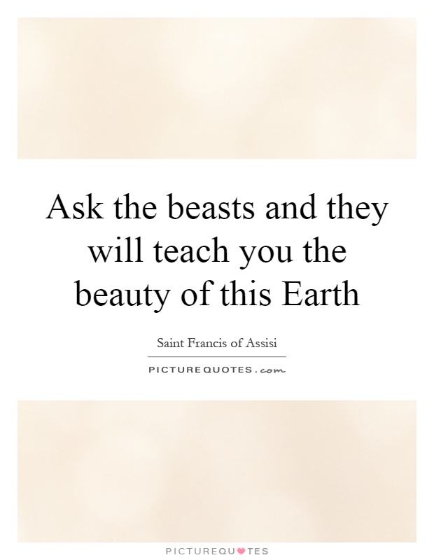 Ask the beasts and they will teach you the beauty of this Earth Picture Quote #1