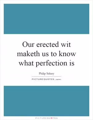 Our erected wit maketh us to know what perfection is Picture Quote #1
