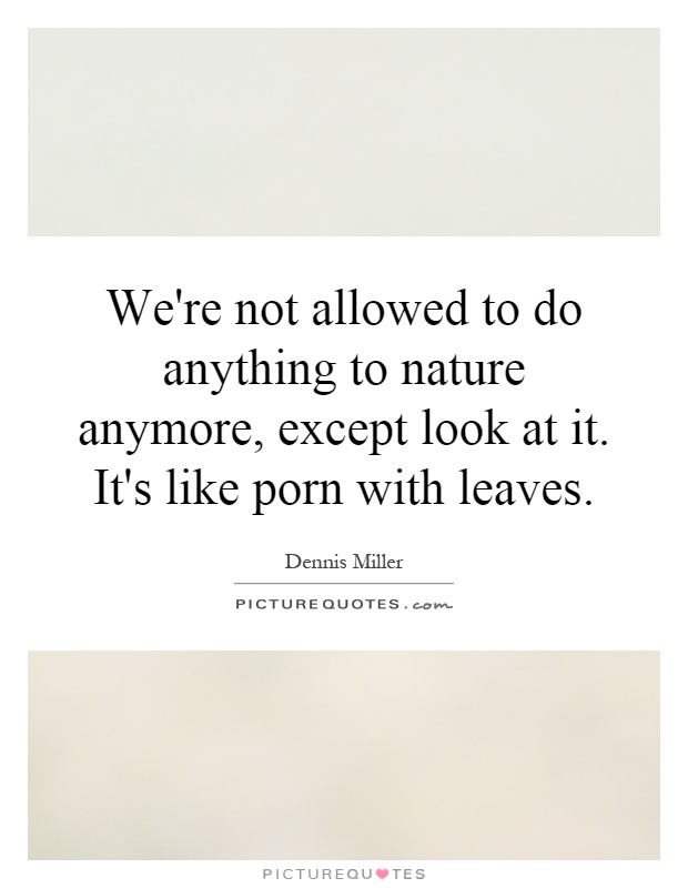 We're not allowed to do anything to nature anymore, except look at it. It's like porn with leaves Picture Quote #1